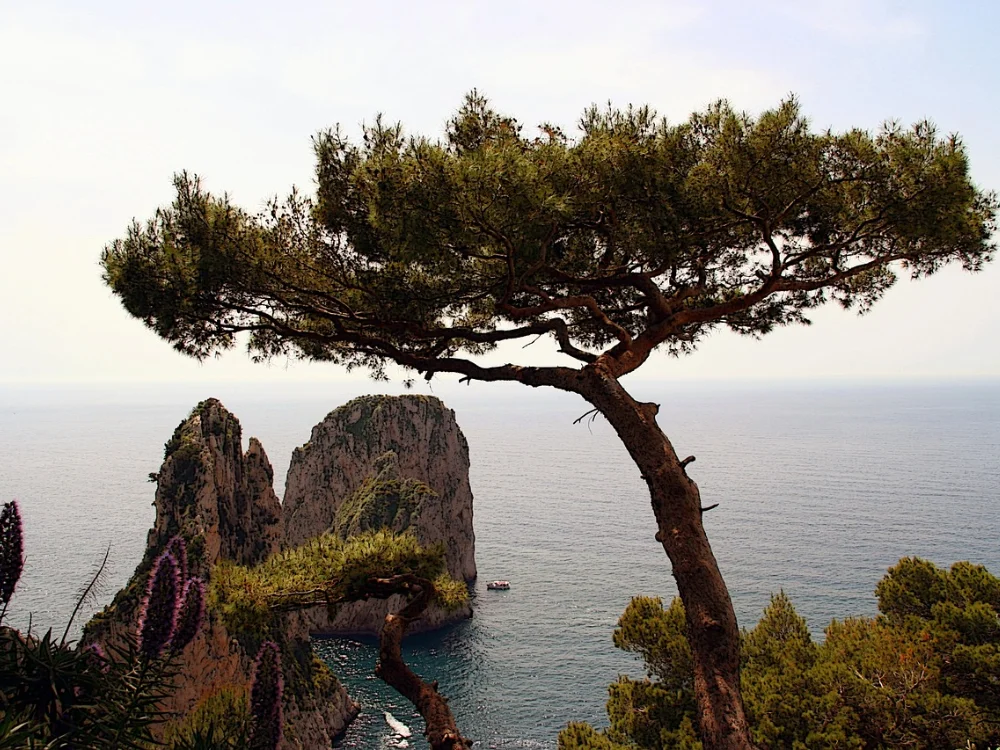 Rondreis Amalfi en Capri | Capri